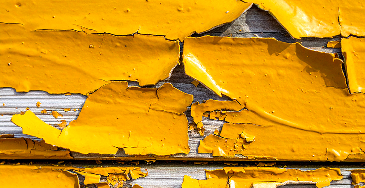 paint